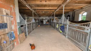 Stallanlage