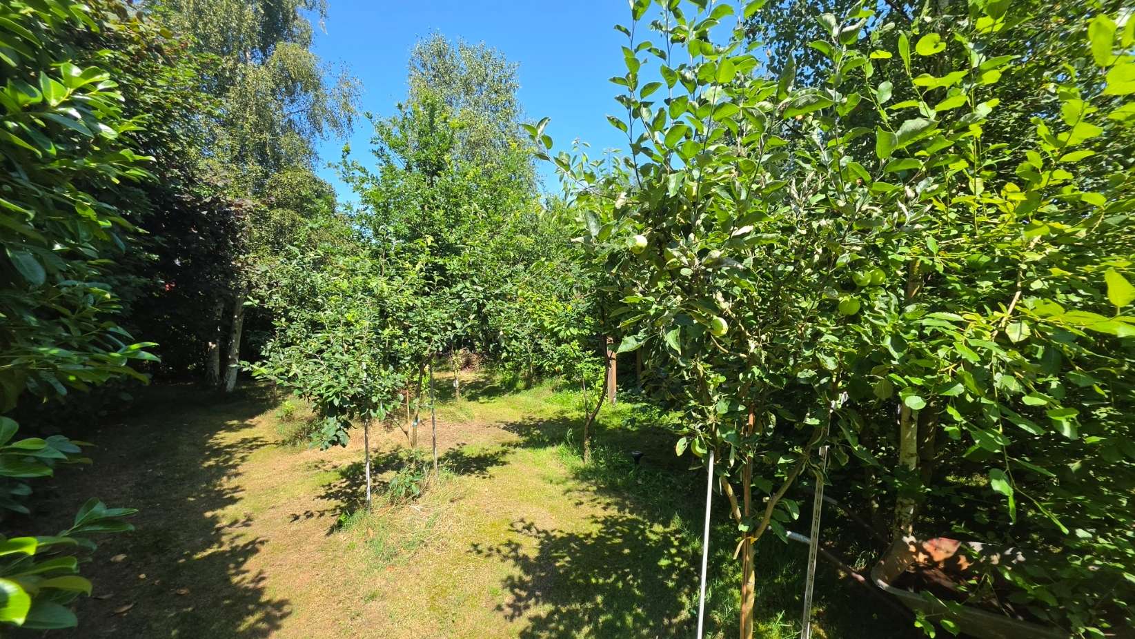 Obstplantage und 2. Grundstück