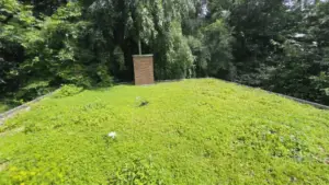 Begrünte Dachterrasse