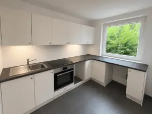 Moderne Einbauküche