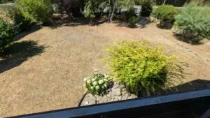 Gartenbereich