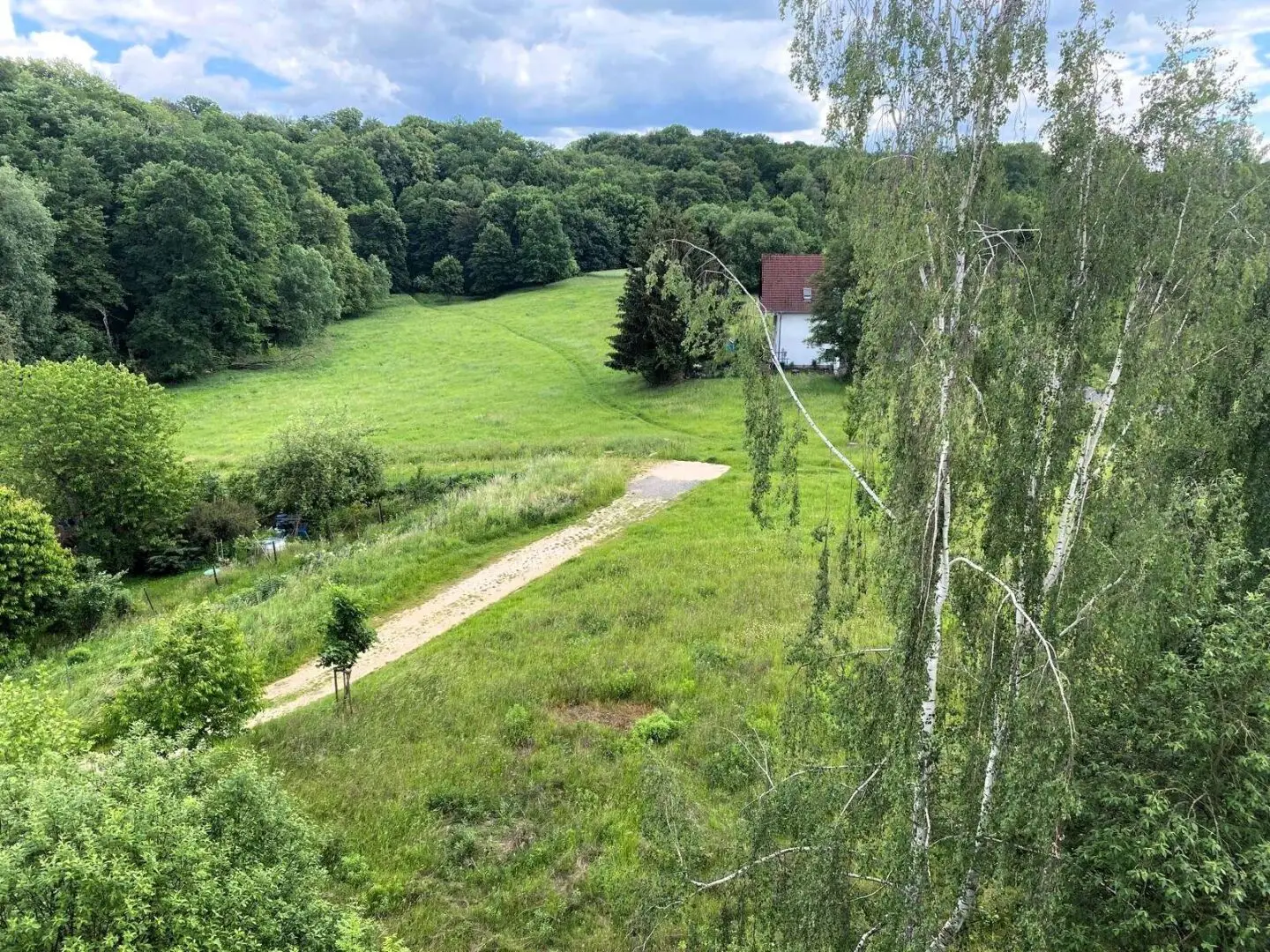 Blick aus dem Fenster
