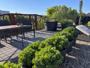 Dachterrasse