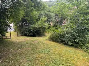 Garten_Pacht_5