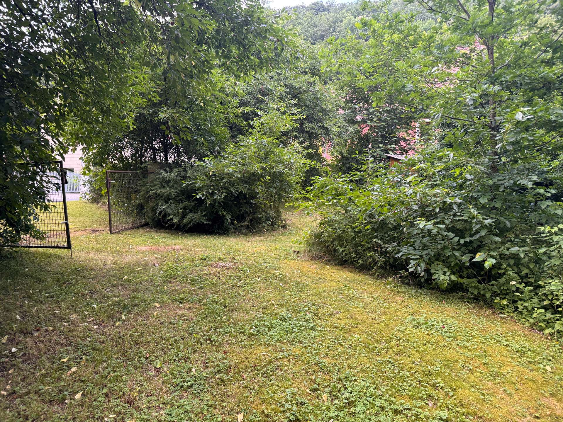 Garten_Pacht_5