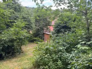 Garten_Pacht_1
