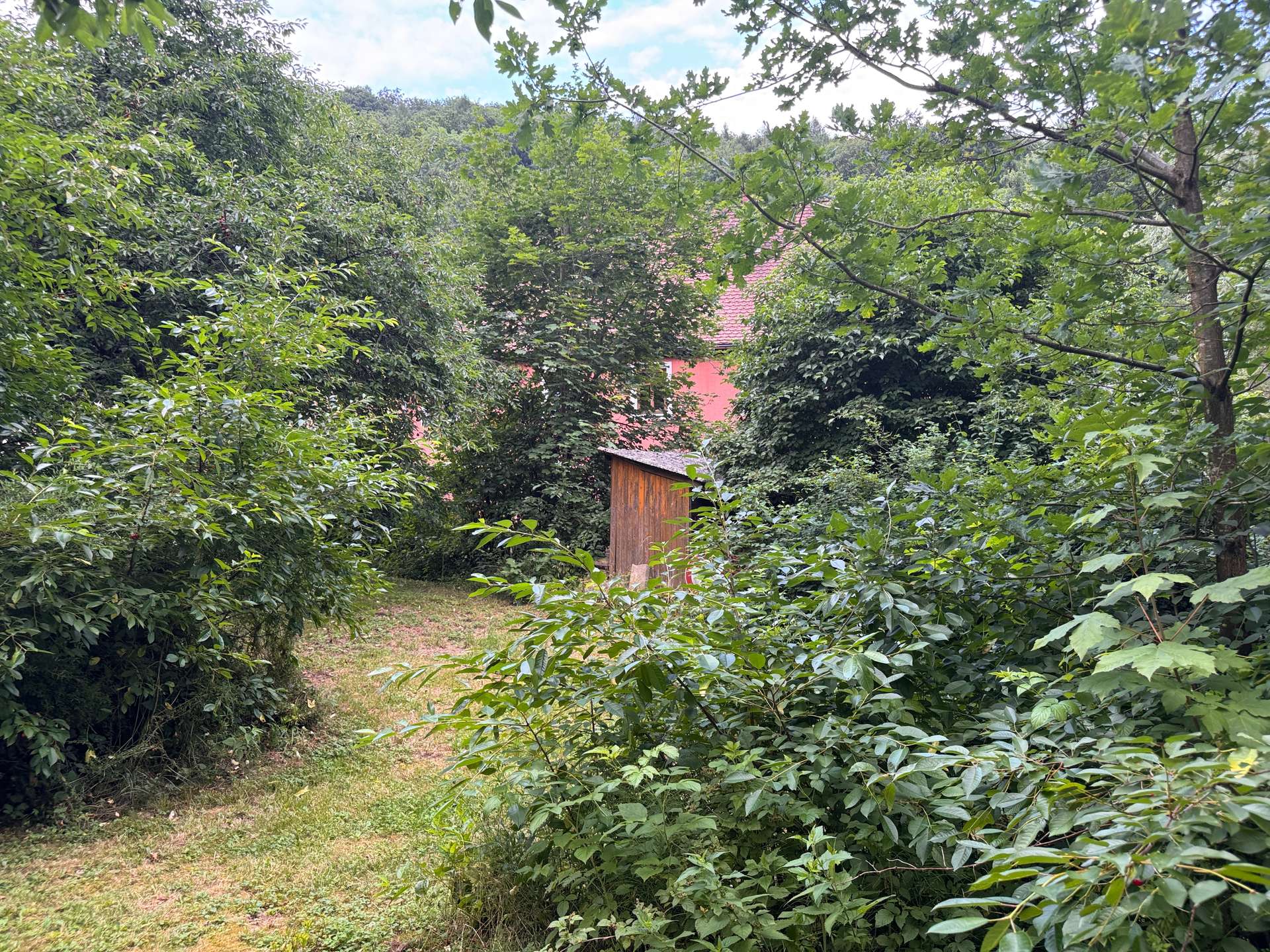 Garten_Pacht_1