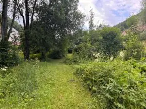 Garten_Pacht_3