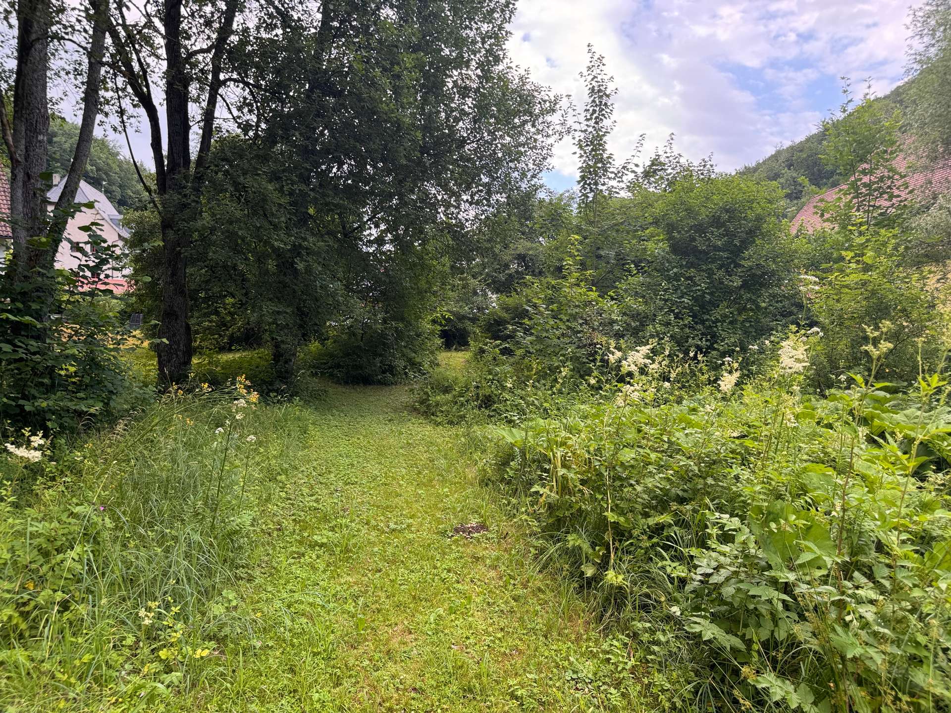 Garten_Pacht_3