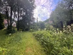Garten_Pacht_4