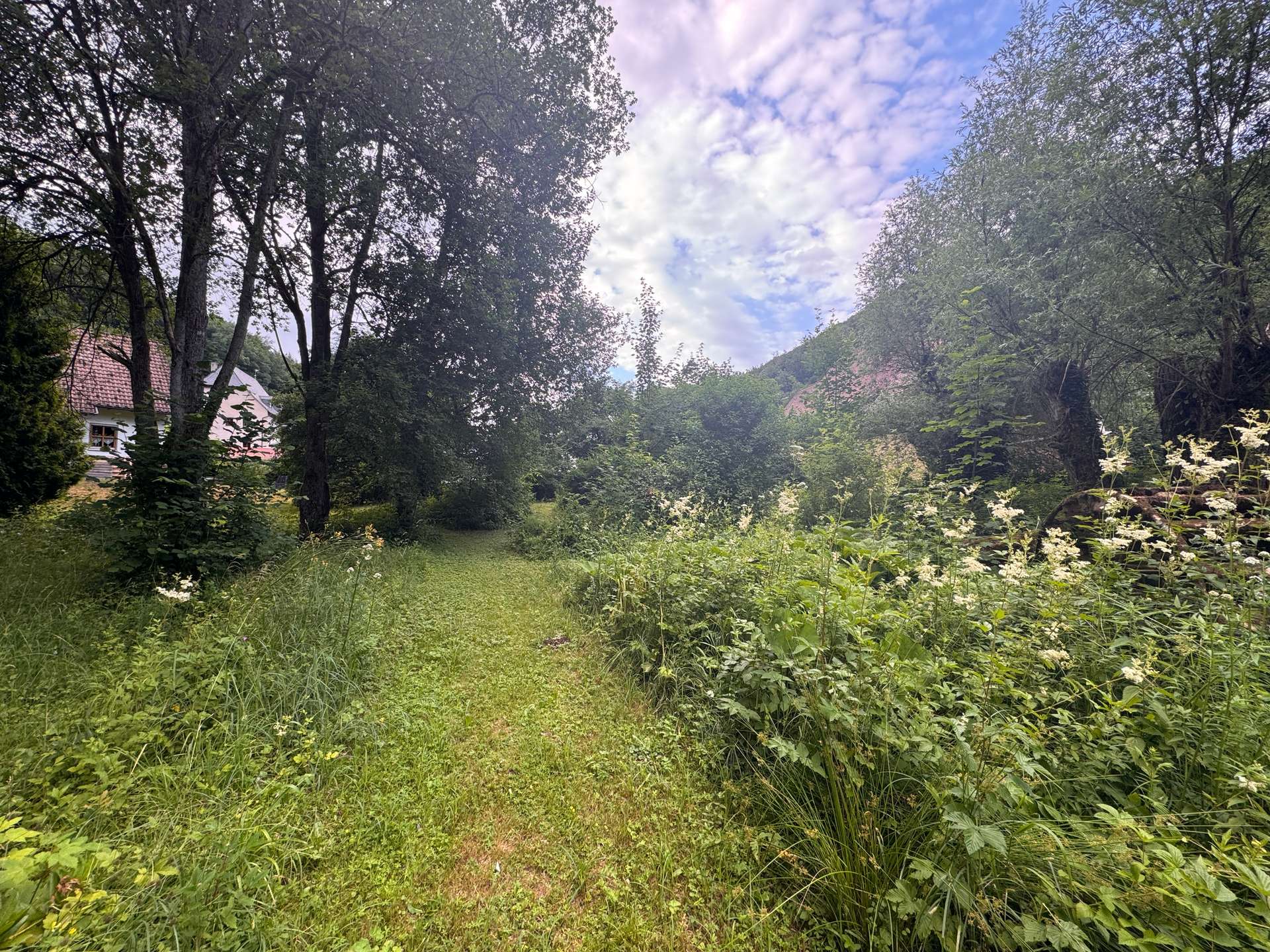 Garten_Pacht_4