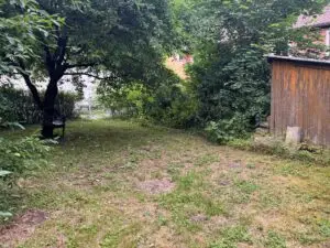 Garten_Pacht_2