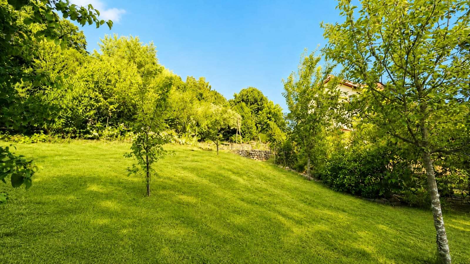 Garten