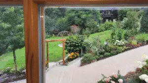 Blick in den Garten