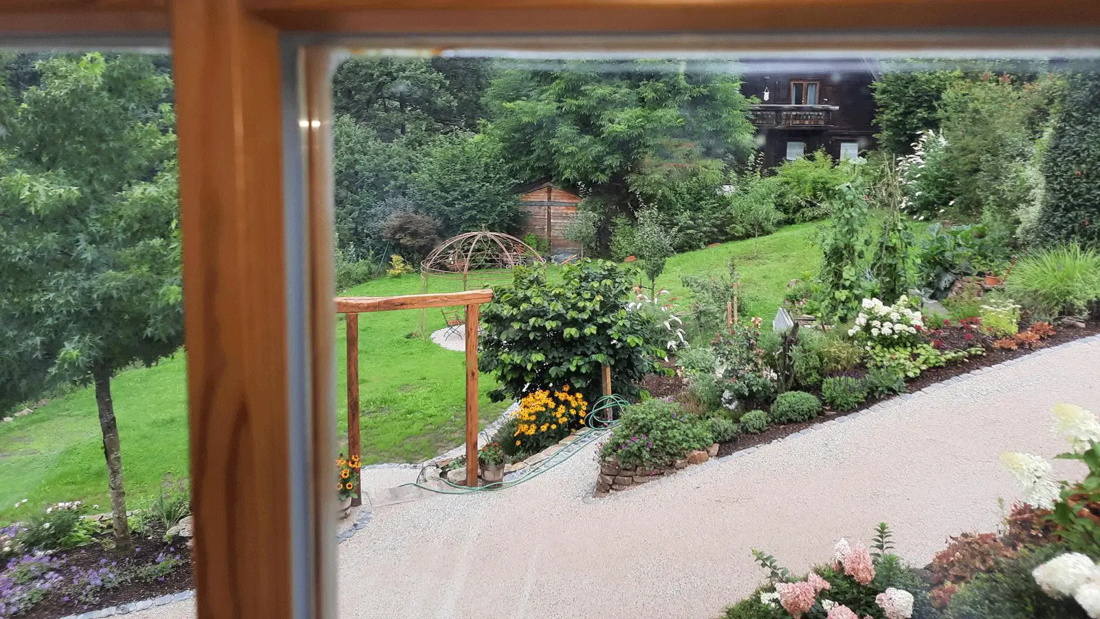Blick in den Garten
