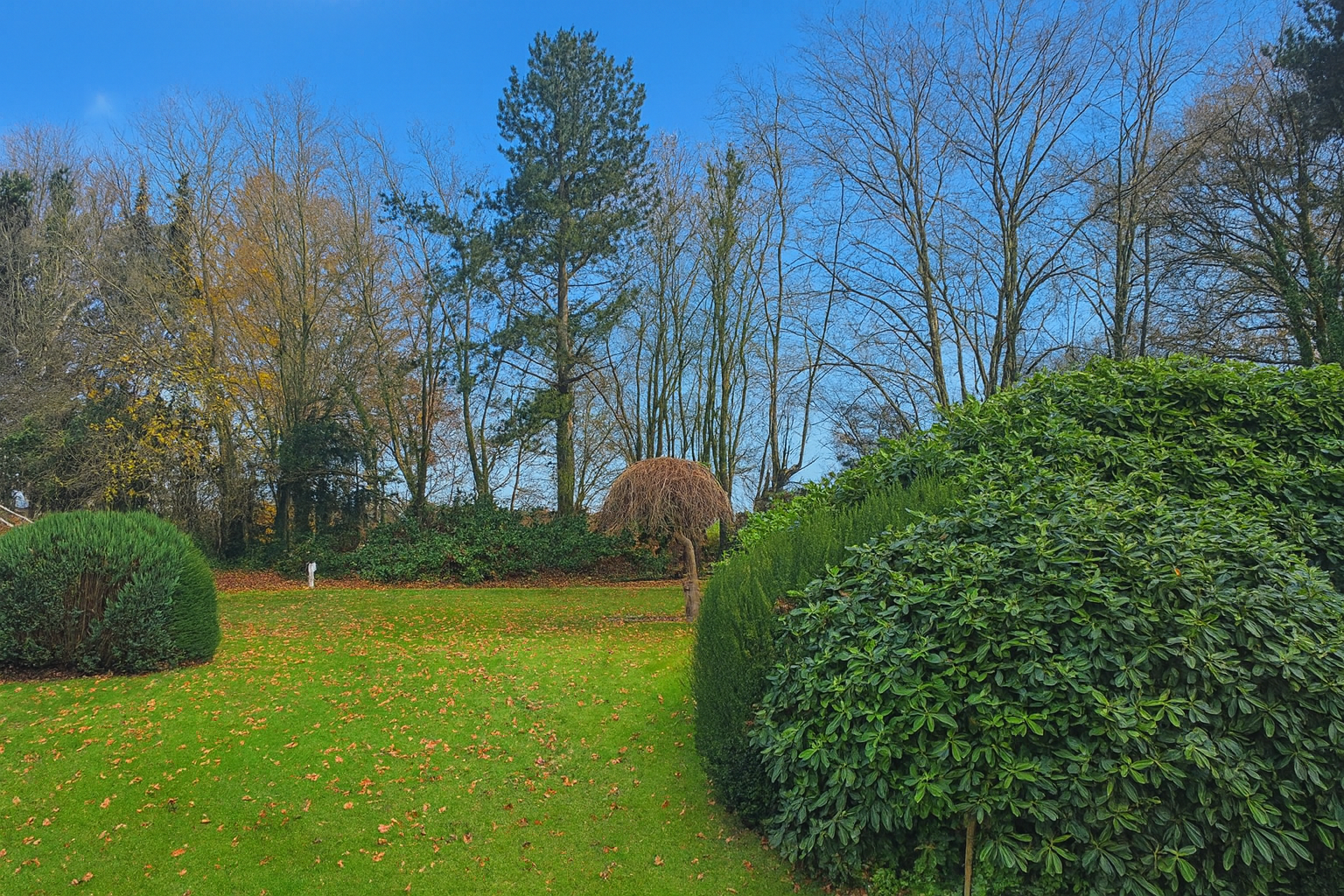 Garten rechte Seite