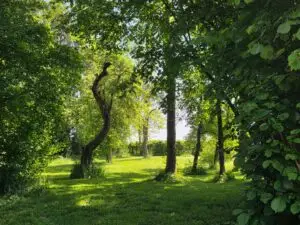 Garten