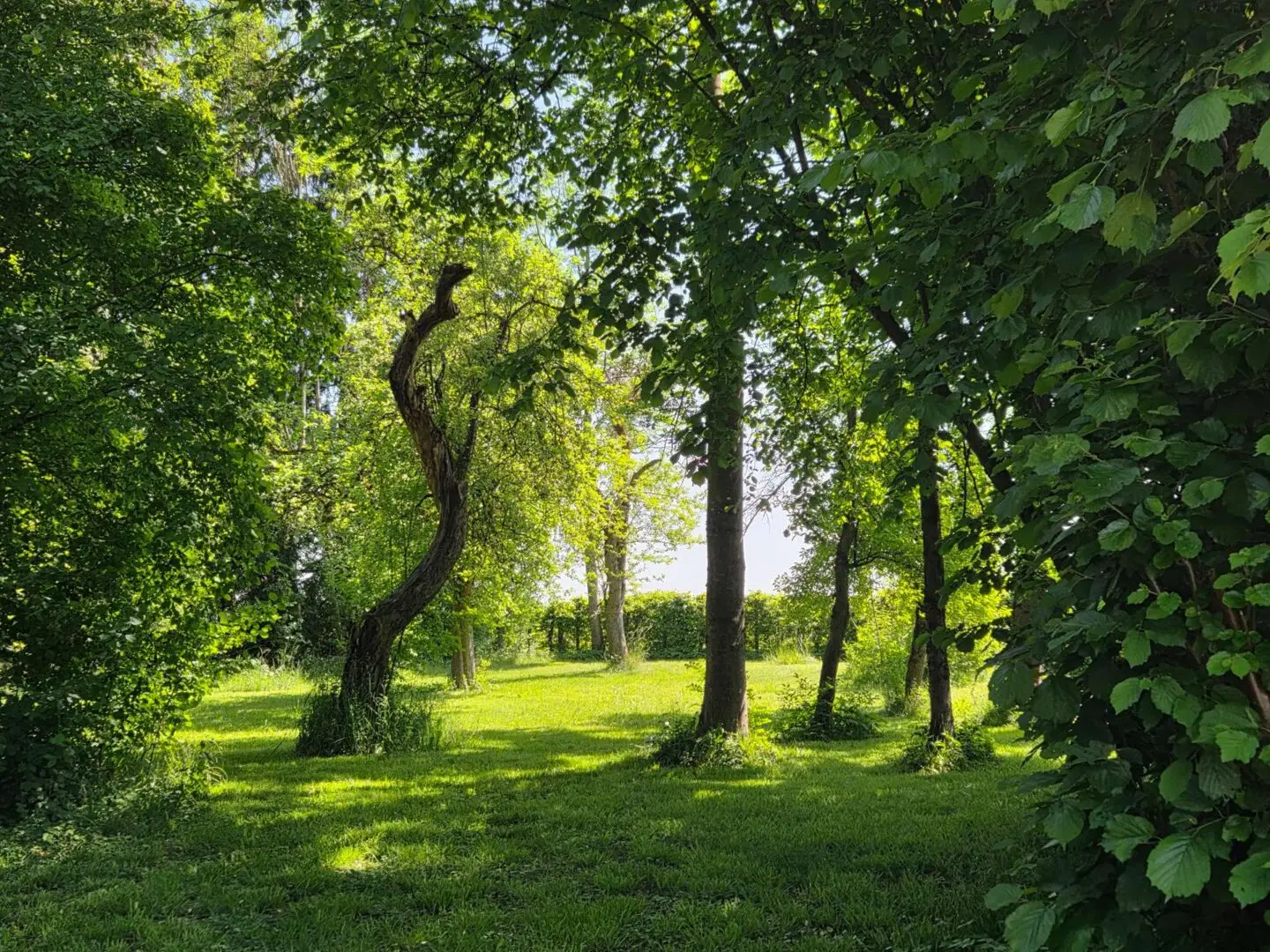 Garten