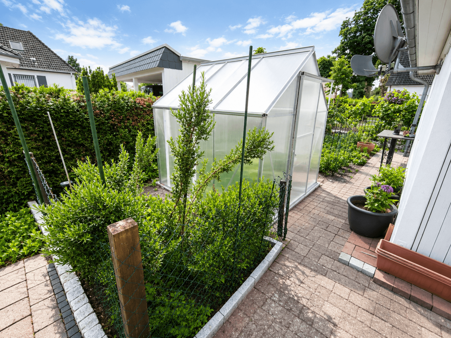 Grüner Gemüsegarten