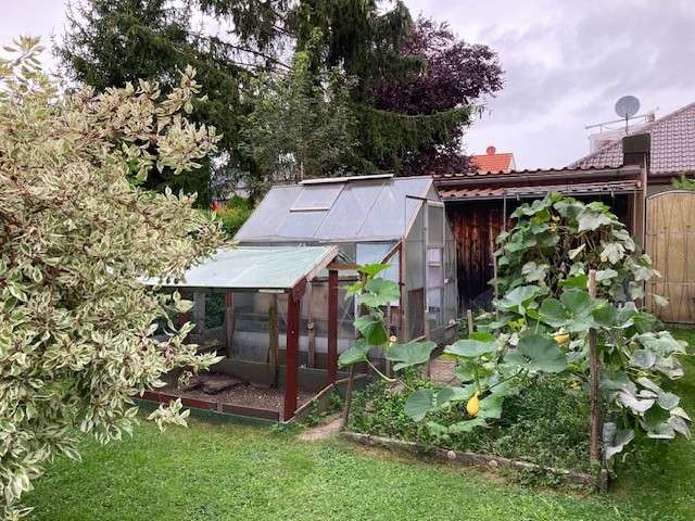 Nutzgarten
