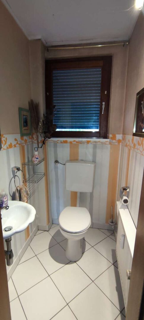separates WC