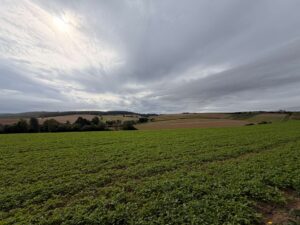 Gartenausblick