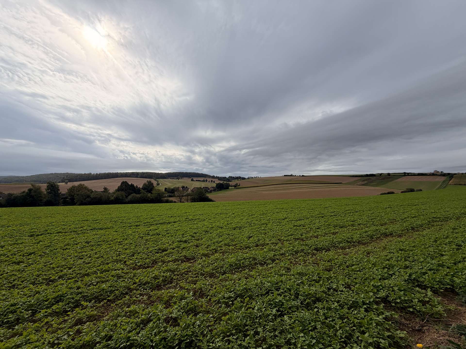 Gartenausblick