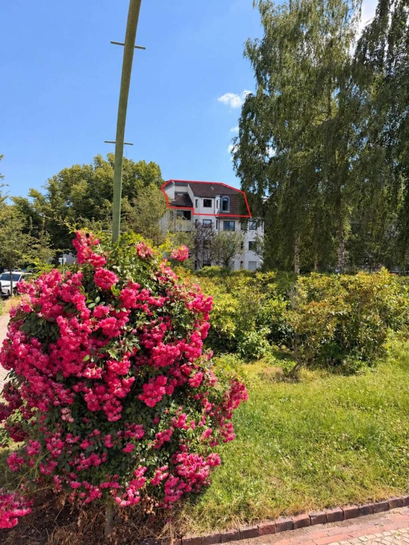 Hausansicht vom Park