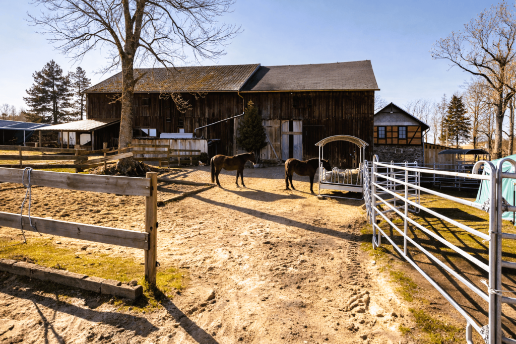 Stallanlage