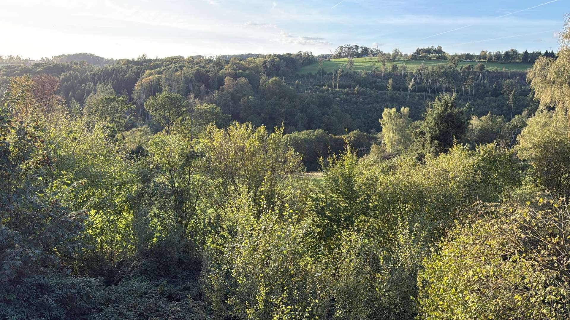 Aussicht vom Wohnbereich