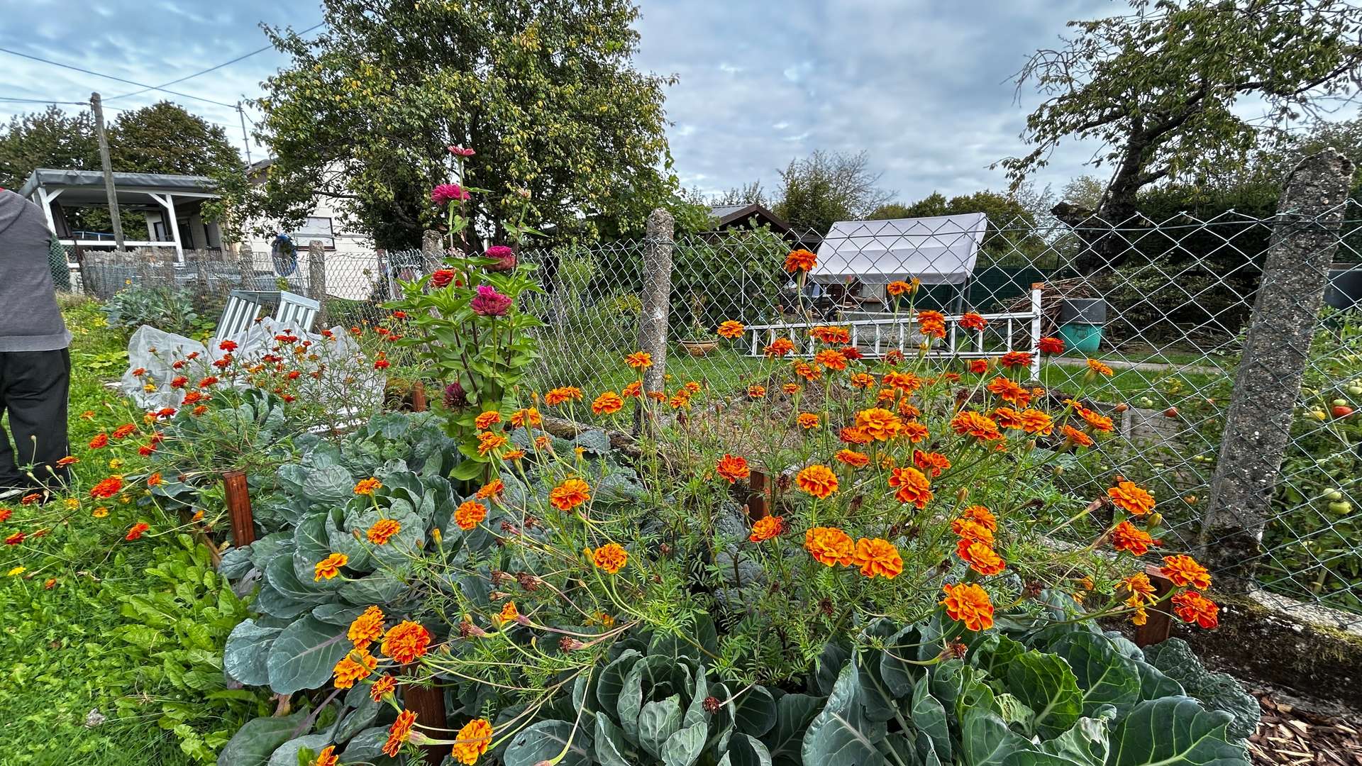 Garten und Nutzgarten