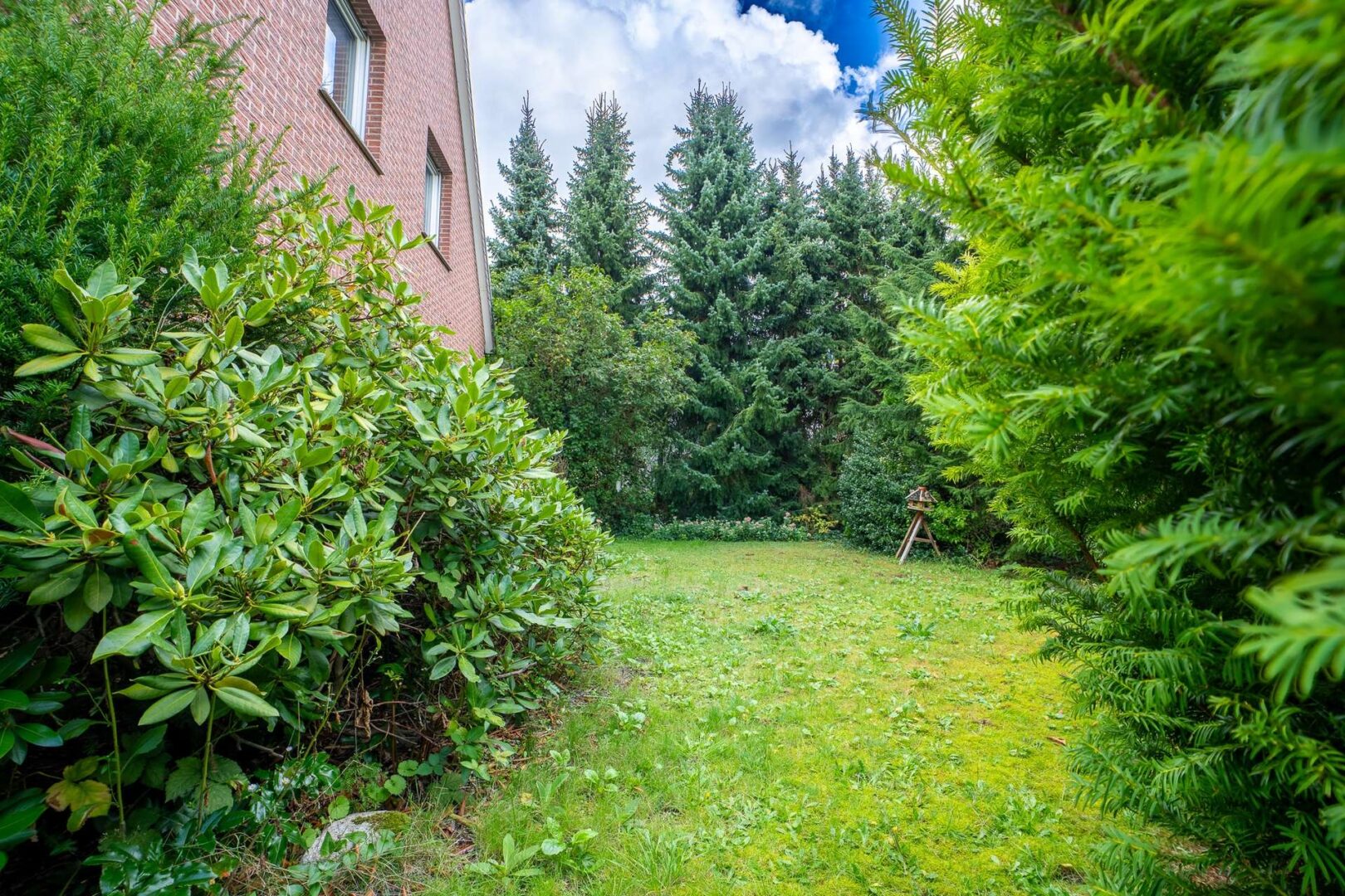 Ein gewachsener Garten mit altem Baumbestand