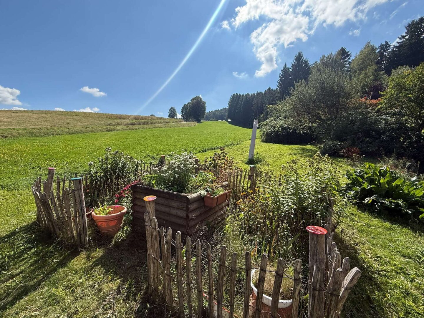 Garten