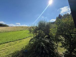 Garten Balkon aus