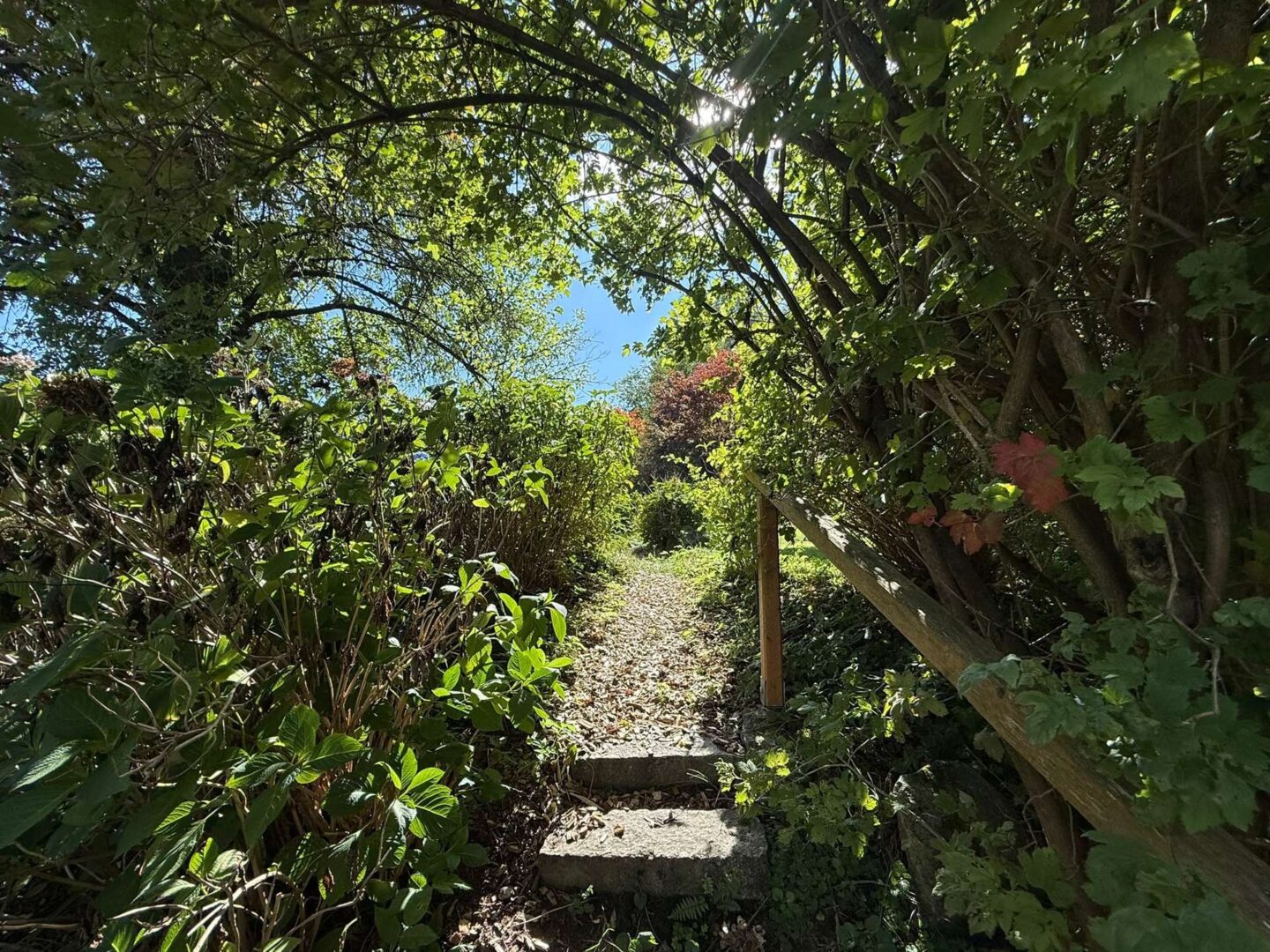 Garten
