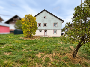 Scheuerlenstr-Garten2