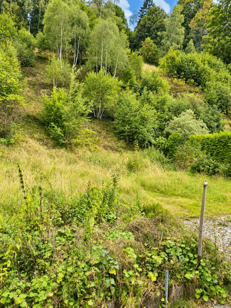 03_Garten_Grundstueck