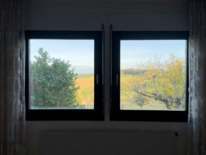 Ausblick