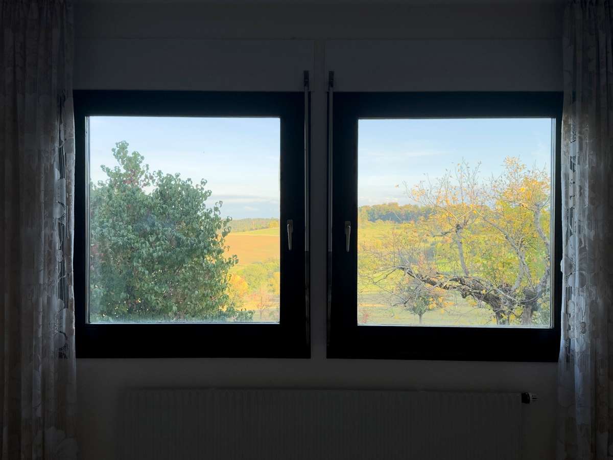 Ausblick