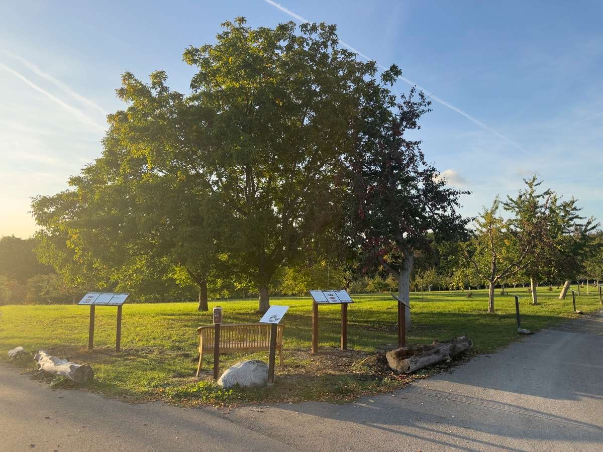 Obstgarten