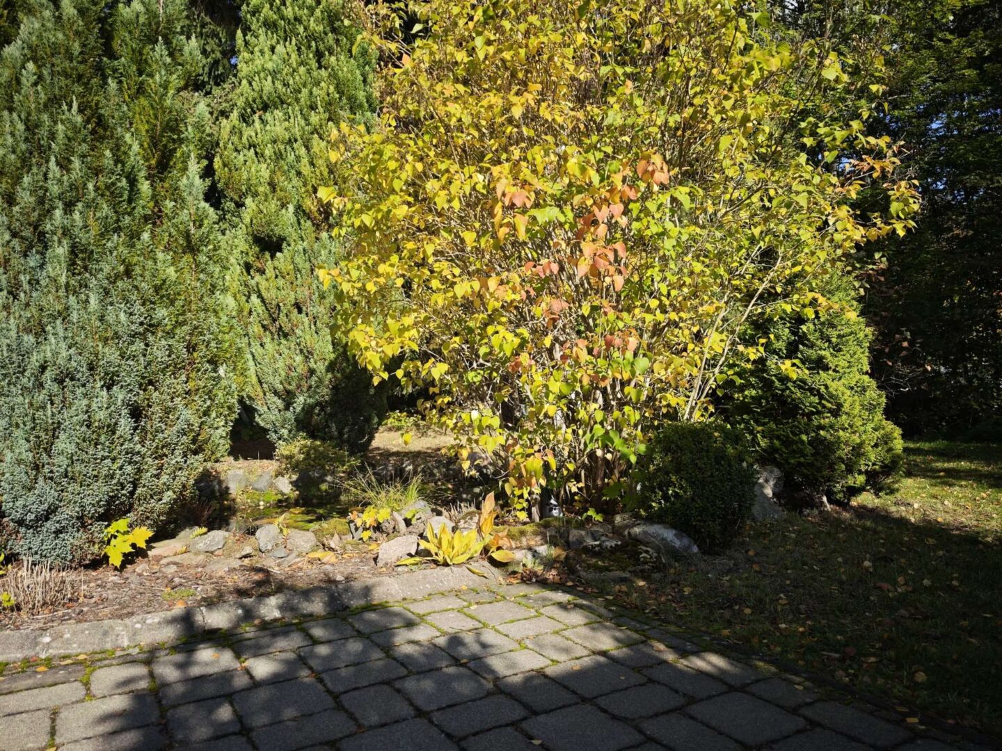 Garten
