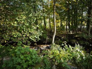 Garten